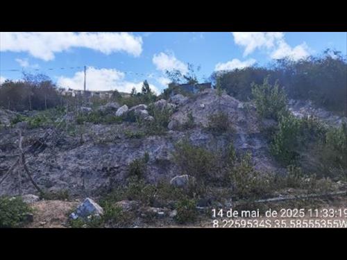 Terreno          -   - 260,00m2