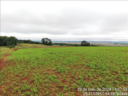 LOTE 005