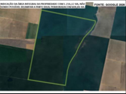 Ribeirão Cascalheira/MT - Parte Ideal 50% - Fazenda 1.216,1225ha