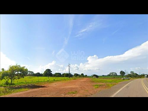 LOTE 035        Três Glebas Rurais somando 72 Hectares - G...