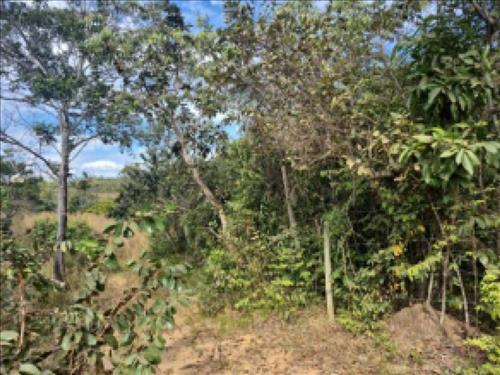Lote, Residencial, Chácaras e Mansões Santa Maria