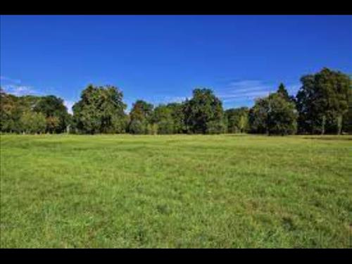 TERRENO COM ÁREA DE 12.412,58M2