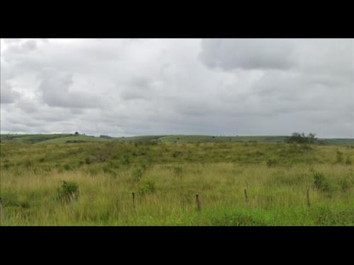 LOTE 047        FAZENDA COM 180,2 HA EM COLONIA LEOPOLDINA...