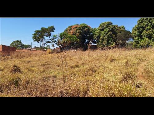 LOTE 007        02 LOTES DE TERRENO EM MONTIVIDIU / GO