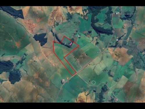 Lote 7 - Maçambará - RS - Figueira - Área Rural
