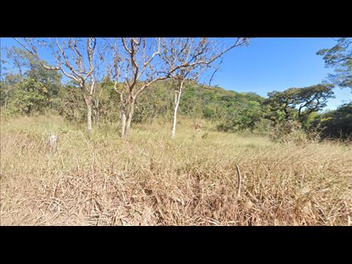 LOTE 035        GLEBA DE TERRAS DE 38 HECTARES EM DELFINÓP...