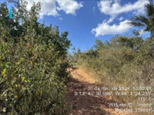 Fazenda, Rural, Area Rural