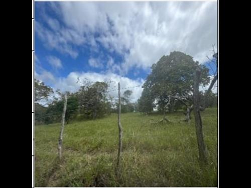 Foto de SITIO COTOVELO - ESTRADA CANHOTINHO - OLHO D AGUA, N. 00, LT 07/11.255