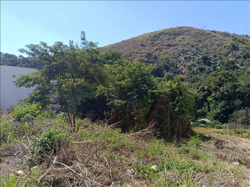 LOTE 50 | ÁREA 358M² I B. PRIMAVERA I TIMÓTEO/MG