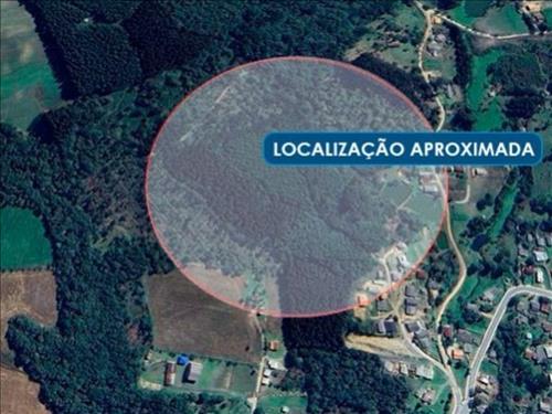 Imóvel Rural 30.773 m² - Alto das Palmeiras - Rio Negro - PR