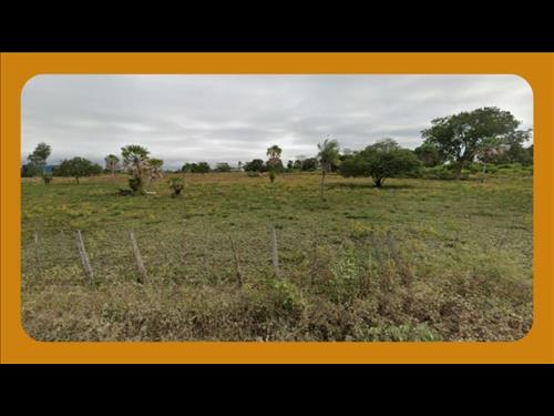 GLEBA DE TERRAS, SITUADA NO SÍTIO ALAGOINHA, ZONA RURAL, ARARIPINA/PE. COM ÁREA DE 5,00HA (CINCO HE...
