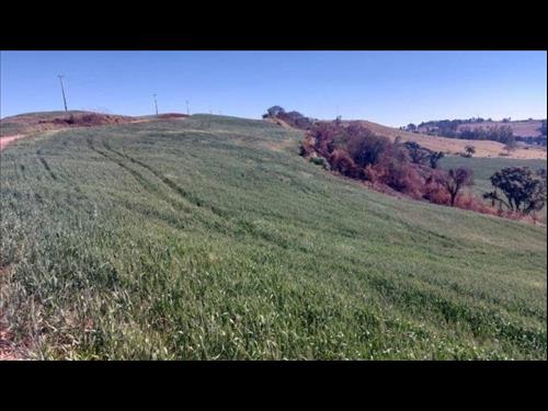 Simular Financiamento Imóvel Rural com Área de 72.600 m² (Sítio Alvorada) - Nova Tebas - PR