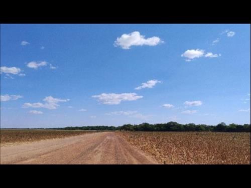 Foto de Terreno na Fazenda Santo Antônio - Peixe/TO