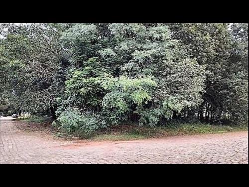 Terreno 528 m² - Vila Lucas Araújo - Passo Fundo - RS