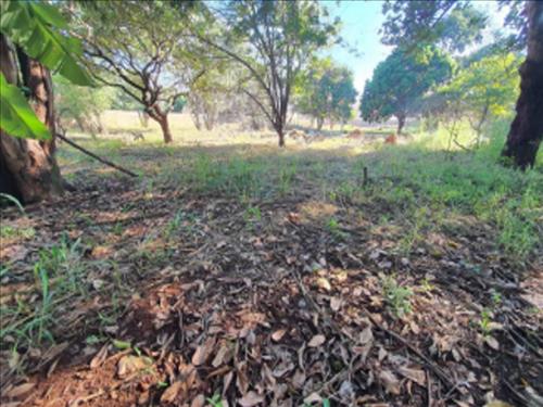 Foto de Lote, Residencial, Mansões Bittencourt
