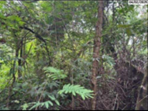 Cotia/SP  | Terreno c/ 5.010,88m²