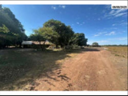 Nova Ubiratã/MT - Sítio 37,5967ha - Casa 120m² - Galpão