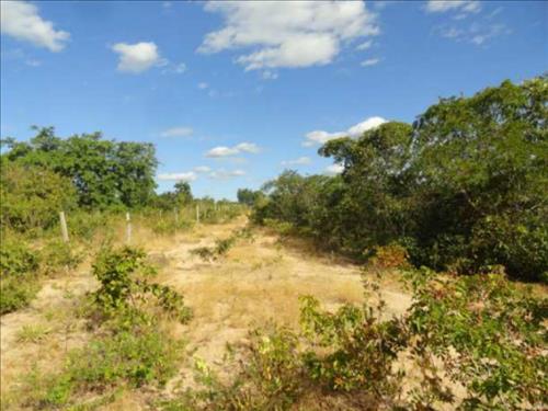 Foto de Lote, Residencial, Santa Rita