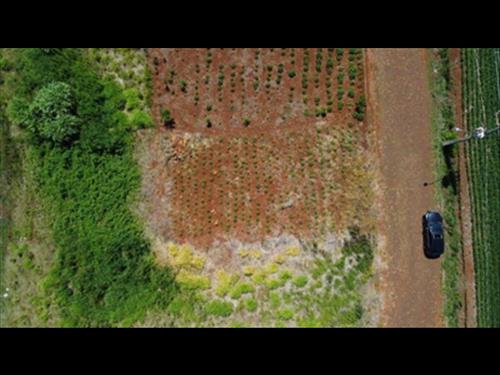 Foto de TERRENO URBANO SEM BENFEITORIAS COM ÁREA DE 240,00m2 - SÃO JORGE DO OESTE/PR