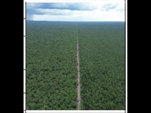 Foto de Imóvel rural - - 59.054.296,00m2