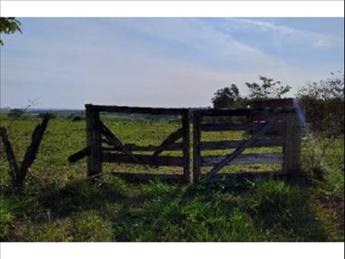 Terreno à venda em leilão