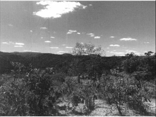 Foto de Área Rural à venda em leilão