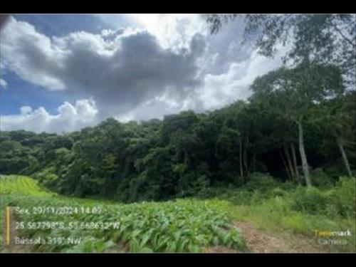Foto de IMÓVEL RURAL 3,57 HA