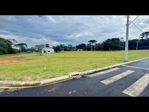 Foto de TERRENO URBANO 447,48 m²