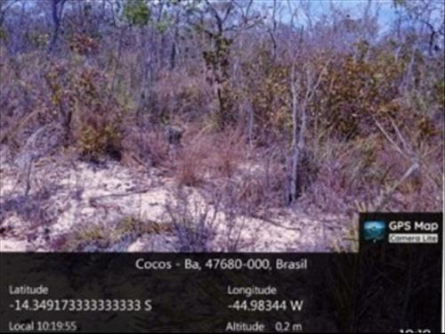 Foto de LOTE 001 FAZENDA BOA ESPERANÇA - COCOS / BA