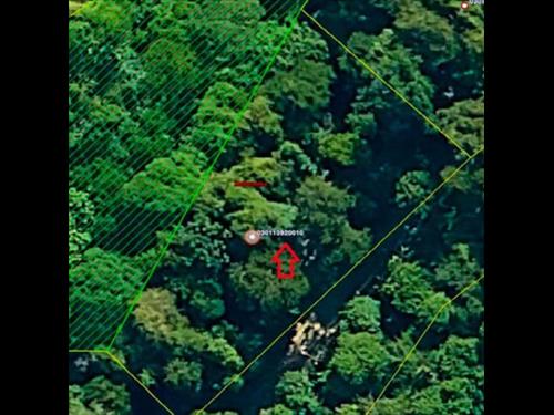 id 778 - Direitos Possessórios - Terreno - Ilhabela/SP