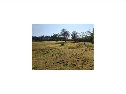 Foto de Terreno à venda em leilão