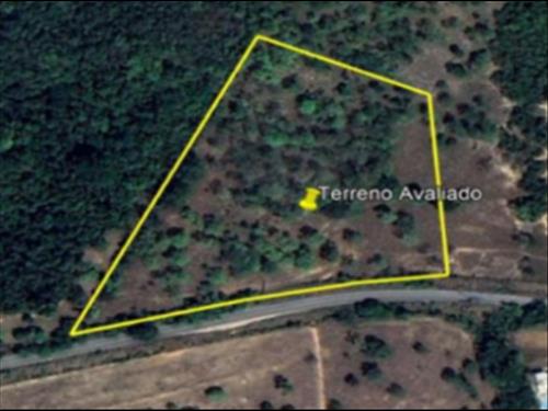 Foto de Apartamento, Centro, Desocupado