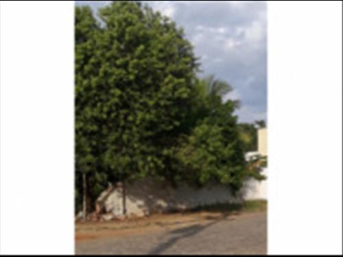 Foto de Campos dos Goytacazes/RJ - Terrenos 131/133 e 135/137