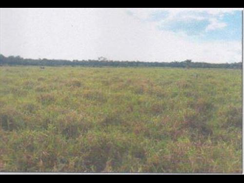 Foto de IMÓVEL RURAL | A.T. 311,02 HA FAZENDA IPÊ LT 171 E 173 GLEBA CAPINARANA | GUAJARÁ/AM