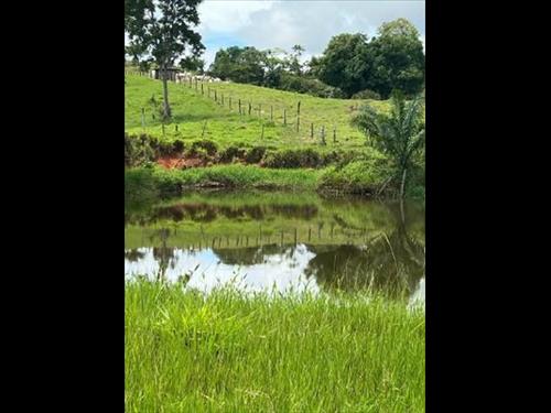 Foto de IMÓVEL RURAL| A.T. 12,10 HA SÍTIO STO. ANTÔNIO SETOR RIO BRANCO | ALTA FLORESTA DOESTE/RO