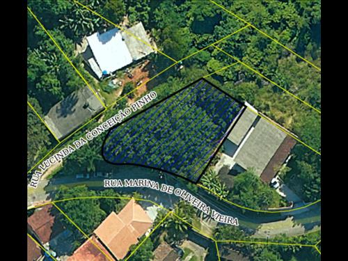 LOTE 004        1