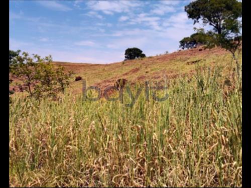 Foto de Terreno - 121.000 m²