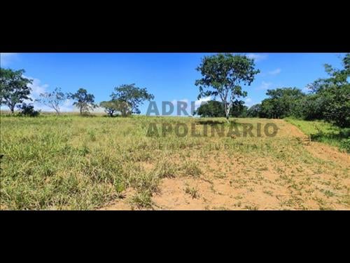 Fazenda São Braz e Almas de 485 ha