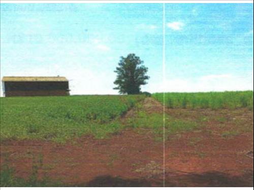 Foto de Terreno à venda em leilão