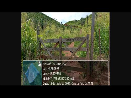 Marajá do Sena-MA. Área Rural c/ 42,0489ha, situada no Povoado Boi Não Berra, de...