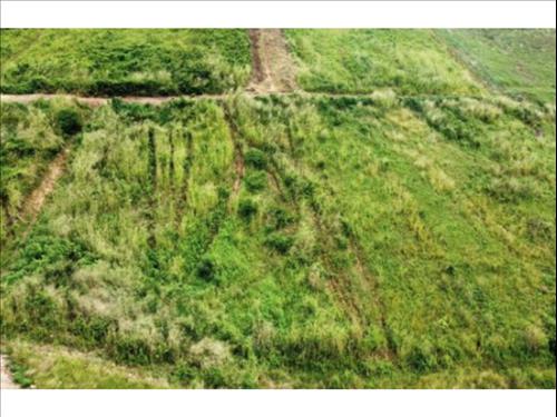 Foto de Terreno à venda em leilão