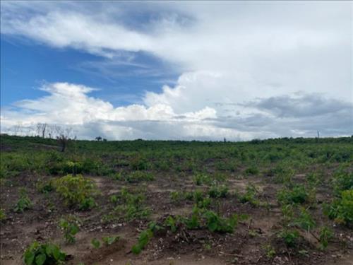Foto de Fazenda, Residencial, Zona rural
