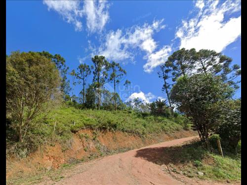 LOTE 004        Sítio região Timbó, SC | Benedito Novo |...