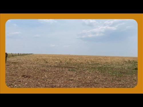 Foto de FAZENDA GABRIELLY, LOCALIZADA NA ZONA RURAL DE BRASNORTE/MT, COM ÁREA DE 497HA APROXIMADAMENTE.__