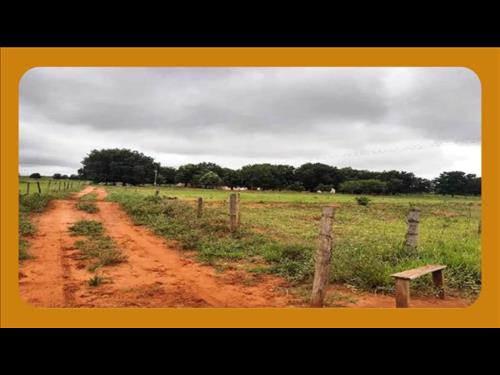 DATA DE TERRAS SOB O Nº 20-G, COM ÁREA DE 12.100M², SITUADO NA GLEBA PINDAÚVA, SECÇÃO B, IVAIPORÃ/P...