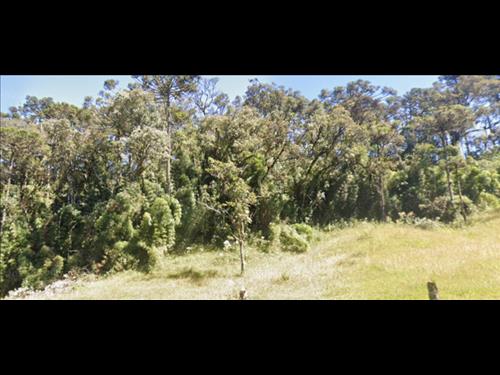 LOTE 070        TERRENO COM ÁREA DE 25.319 M² EM PETROLÂND...