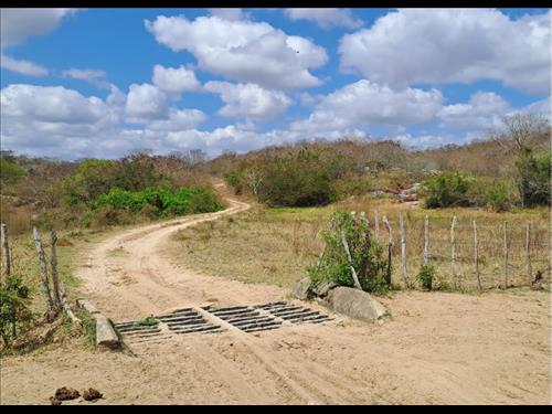 Foto de UMA PARTE DE TERRA, encravada na propriedade 'Prata', do lugar 'Loango' zona Rural do município de ...