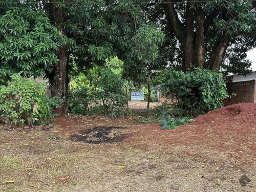 Foto de LOTE DE TERRENO URBANO PLANO E MURADO EM AMAMBAI - MS Amambai - MS Rua Leorival Nunes Vargas, Vila ...