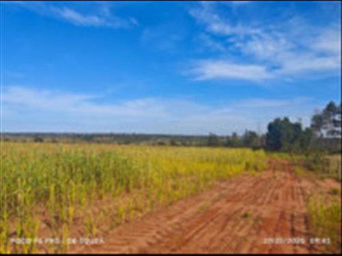 Nova Andradina/MS - Sítio c/ 48,35 hectares