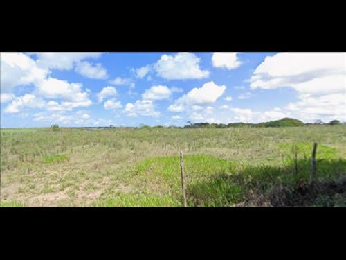 LOTE 123        TERRENO DE 6 HECTARES AS MARGENS DA BR 101...